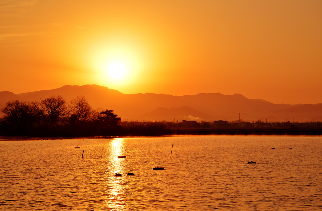 野田沼の朝陽