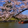 花見屋形船