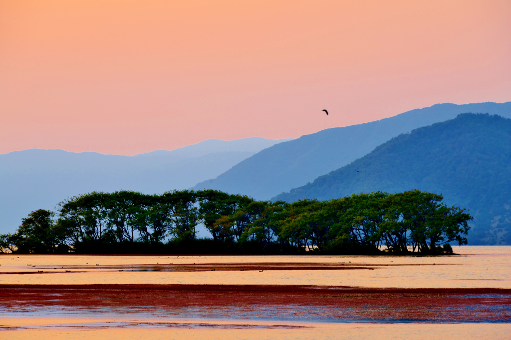 湖北夕木立