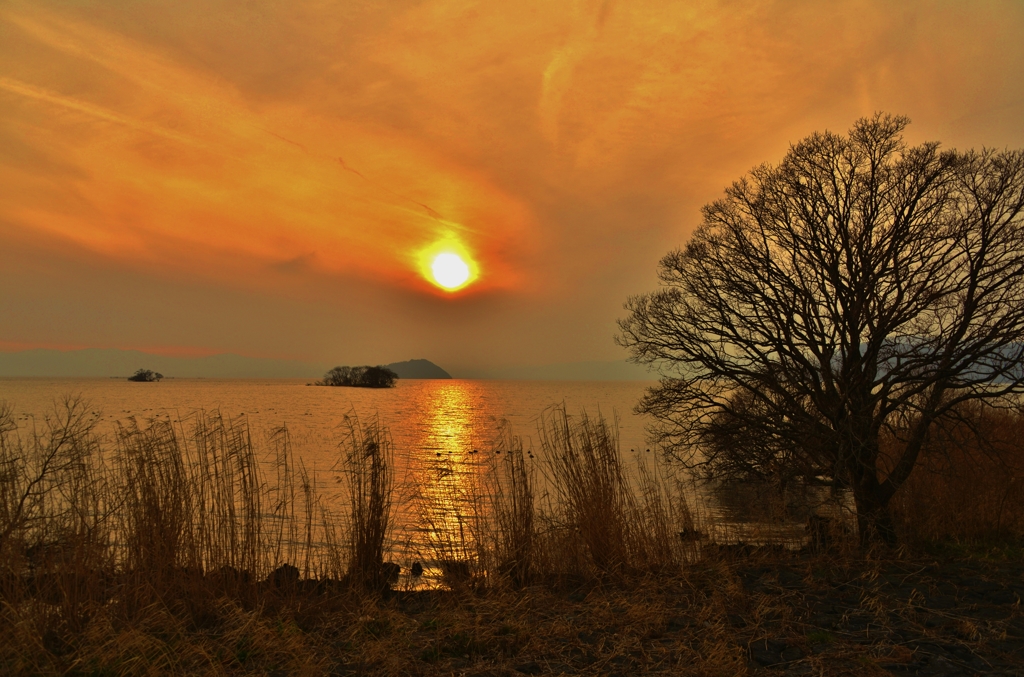 湖北・弥生夕日