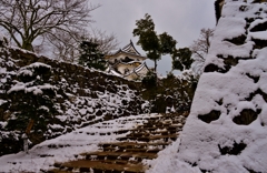 雪の彦根城散策　7