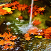 紅葉手水