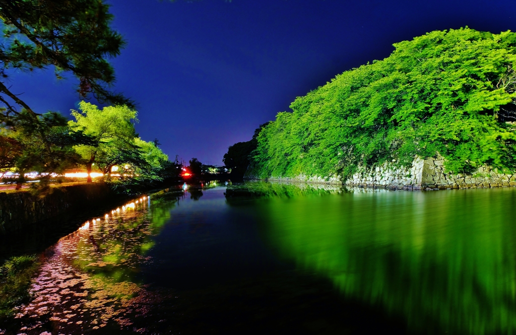 濠端夜景