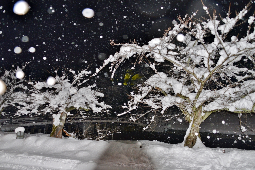 雪夜景・彦根城　Ⅳ