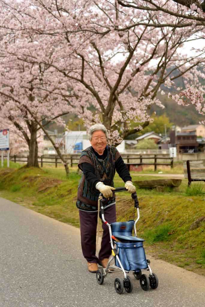 お散歩