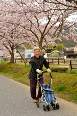 お散歩