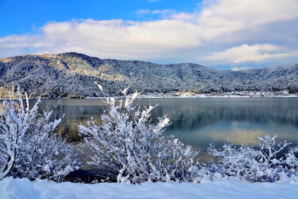 余呉湖の冬景色