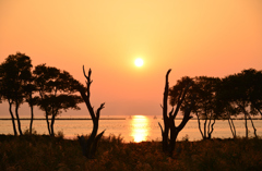Sunset Gate
