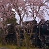 SL廃墟桜　Ⅶ