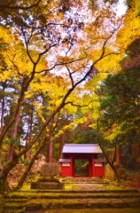 湖東三山百済寺　赤門　1