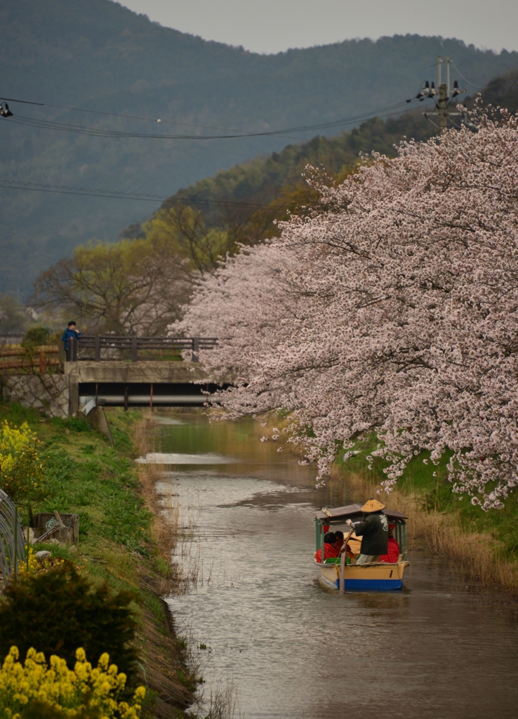 水郷めぐり春旅