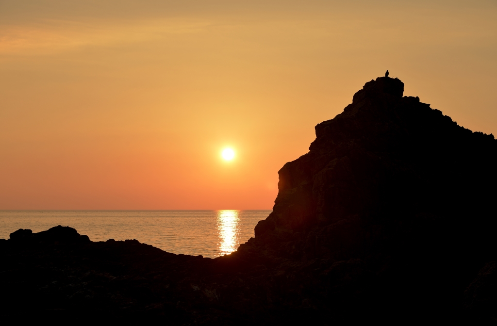 夕日に佇む