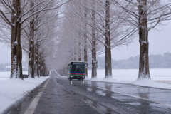 雪並木の路線バス