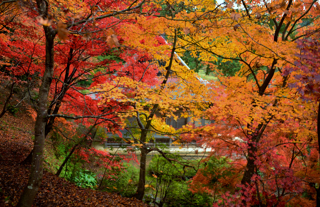 彩の石道寺