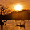 Sun Rises