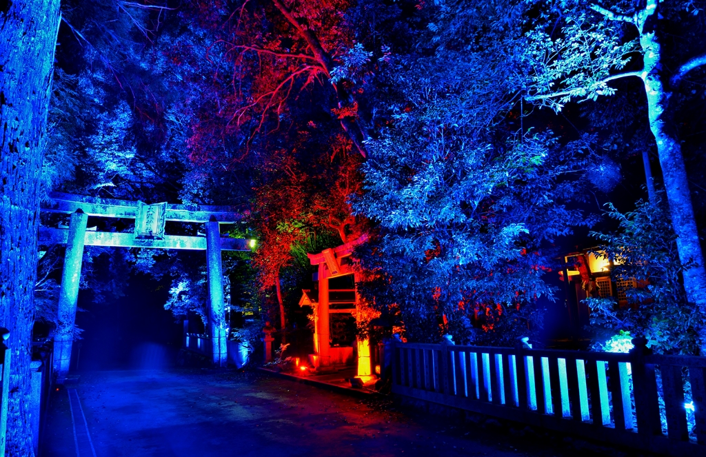 神あかり・大瀧神社　5-3