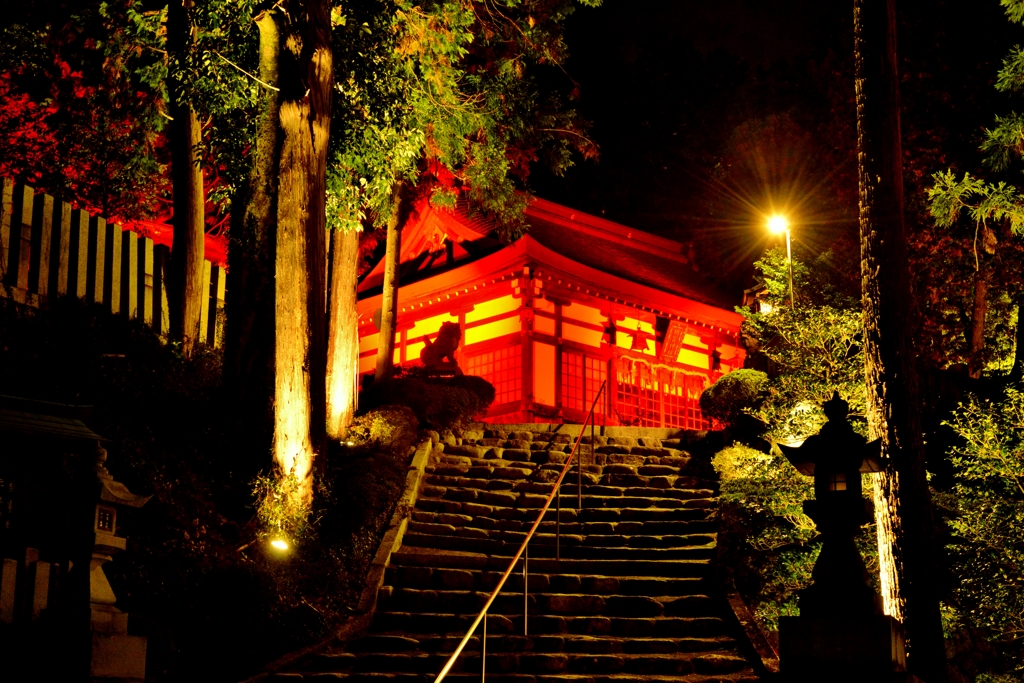 胡宮神社神あかり　幽玄