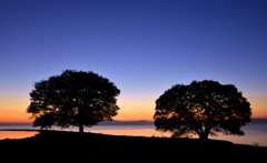 Twilight