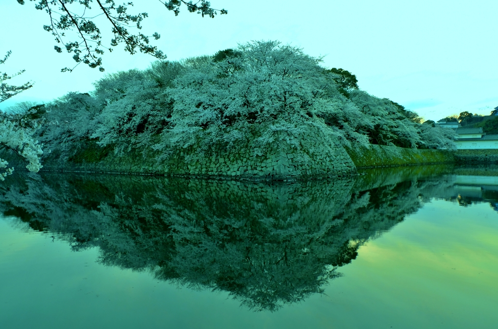 濠春景