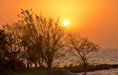 春夕焼け