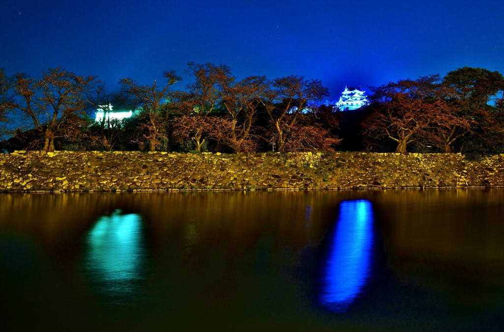 彦根城夜景