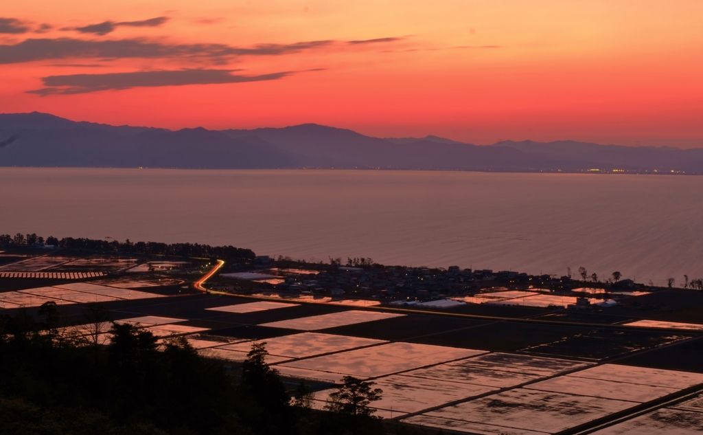 黄昏の琵琶湖水田