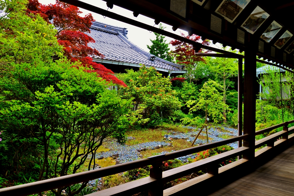 村雲御所瑞龍寺中庭