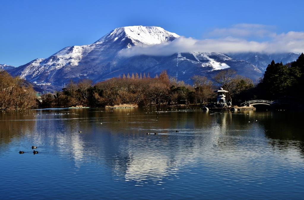 寒明け伊吹山