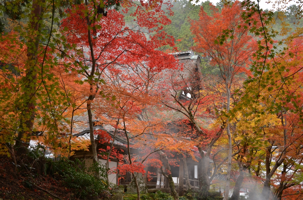 煙秋