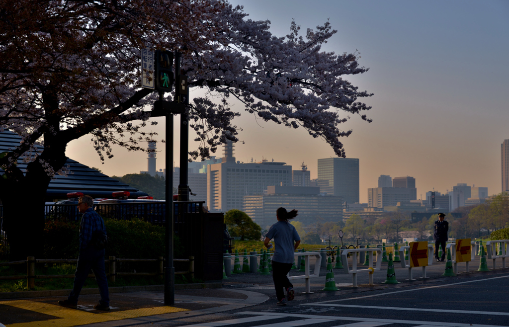 東京の朝　ランニング