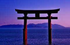 湖中鳥居　2-2