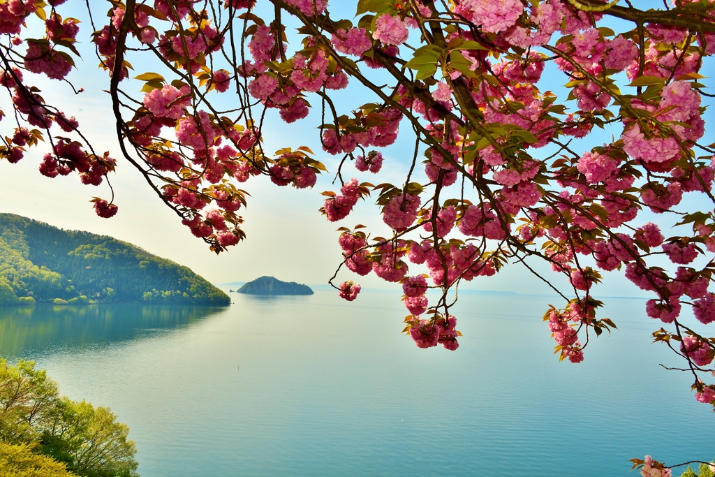 奥琵琶湖の春　3