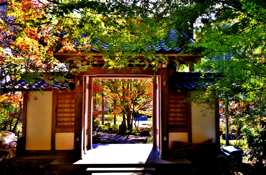 彦根の名刹延寿禅寺　秋ぶらり　8