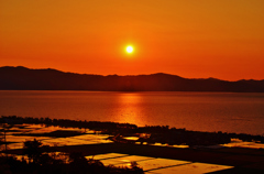 水田と琵琶湖の夕陽    4-1