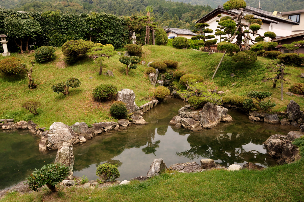 　木之本地蔵院浄信寺庭園  3-1