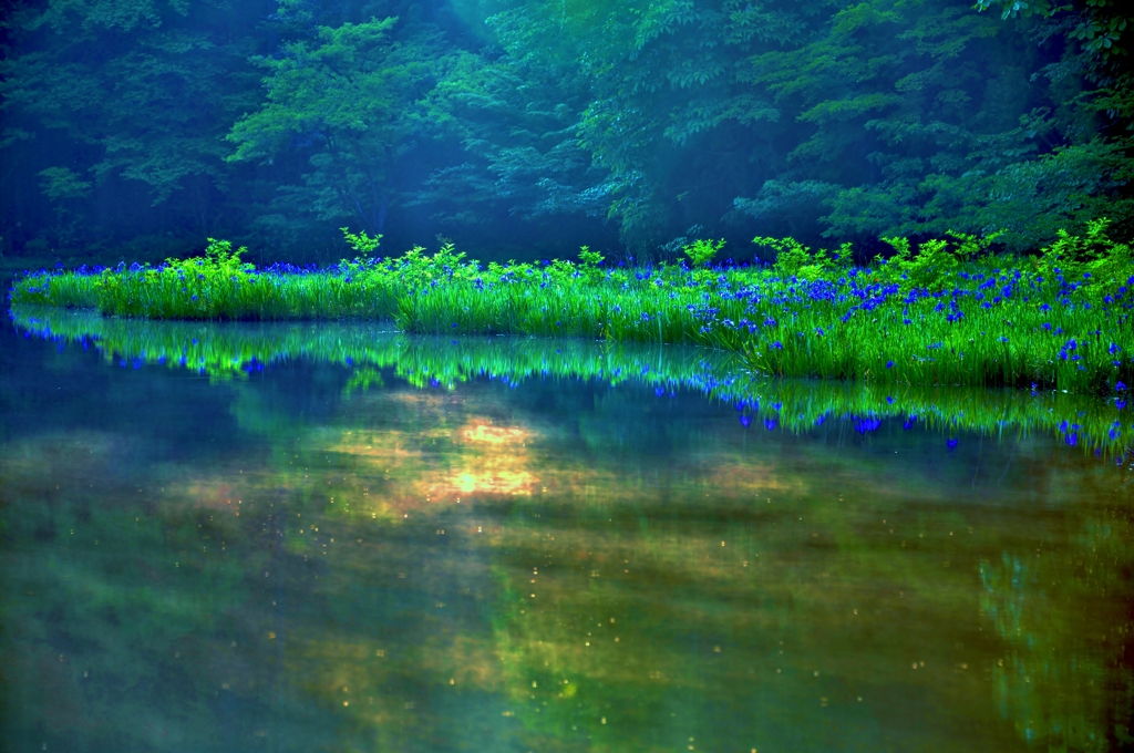 平池朝景