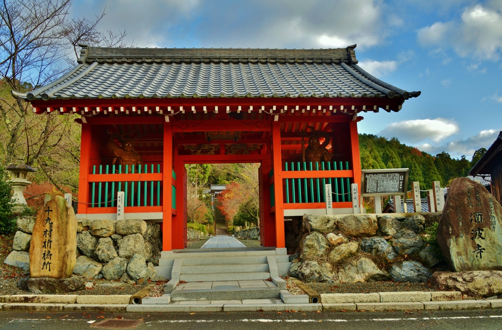 晩秋の酒波寺山門