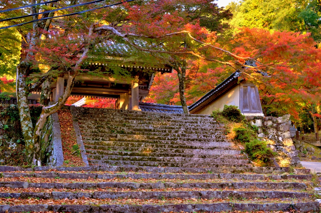 東光寺参道石段