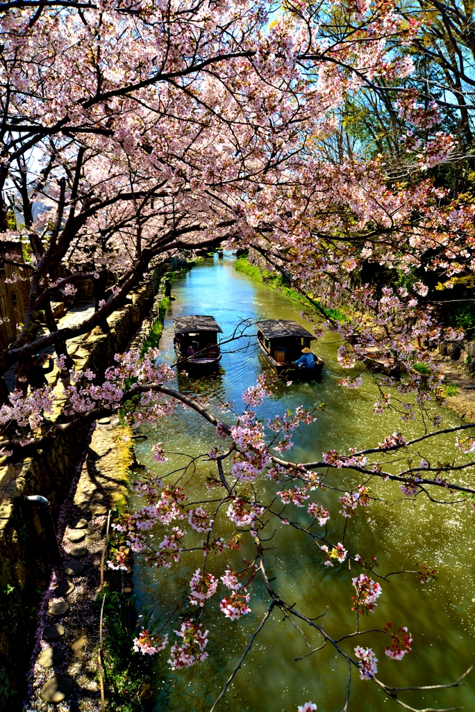 八幡堀春景