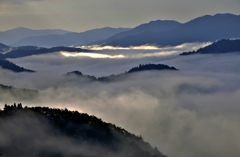 小入峠雲海