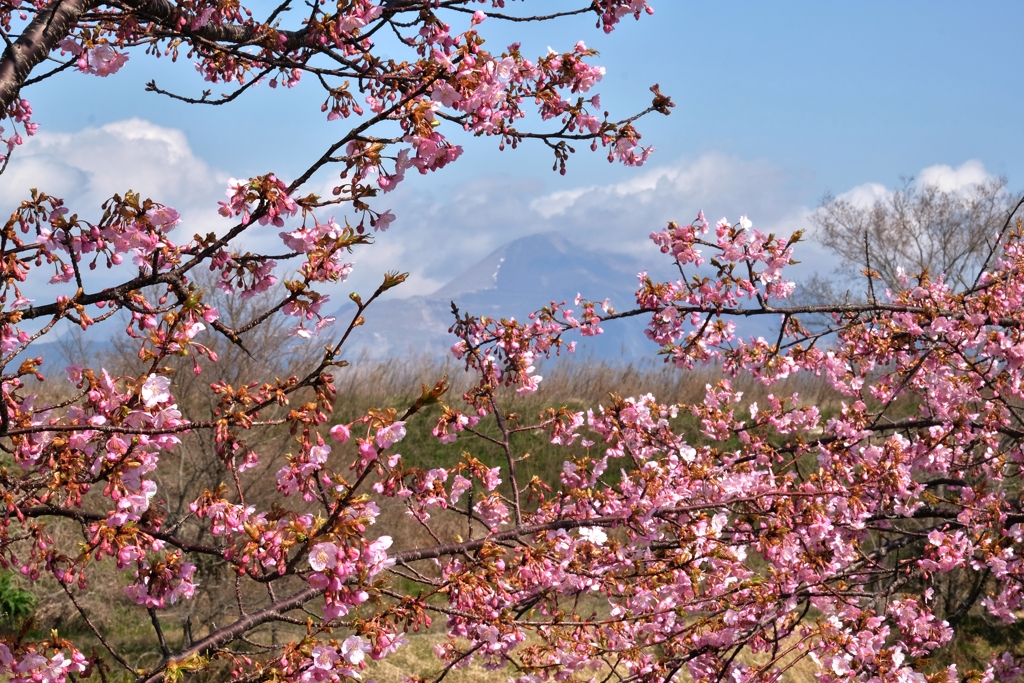 山笑う