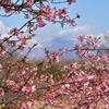 山笑う