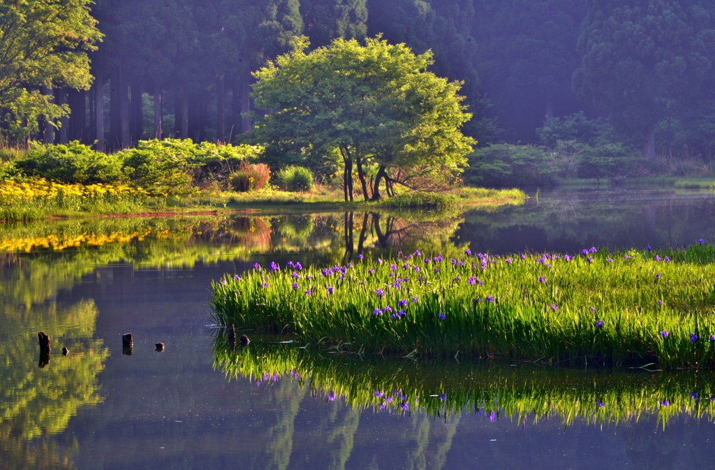朝光の平池