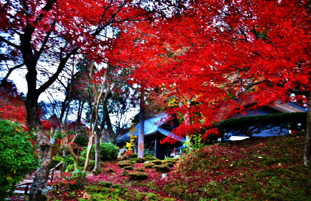 紅葉の石道寺