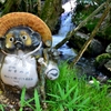 タヌキの滝