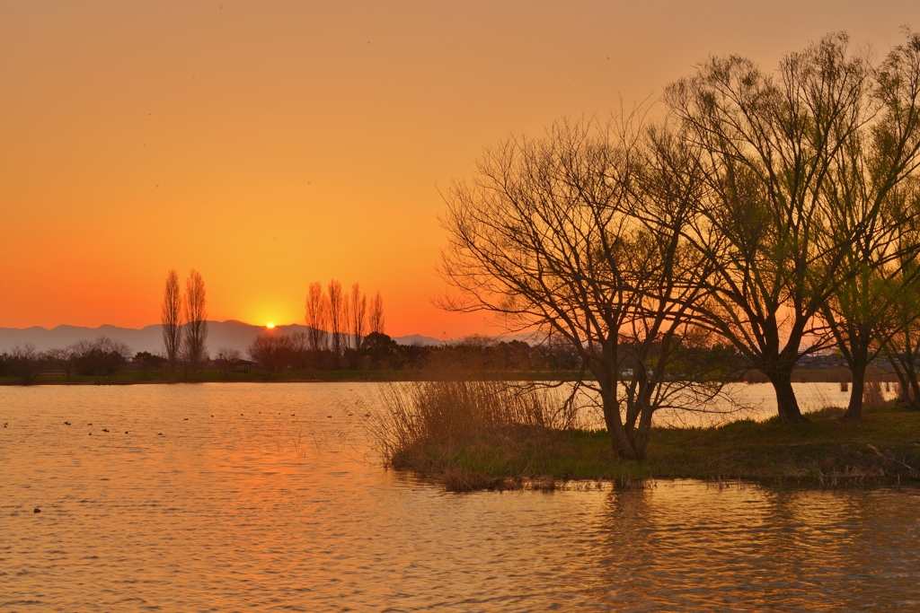 野田沼夕景三景　日没