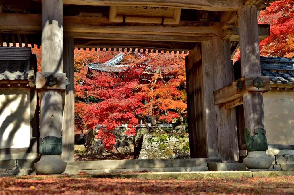 山門額縁紅葉