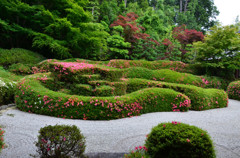 大池寺蓬莱庭園