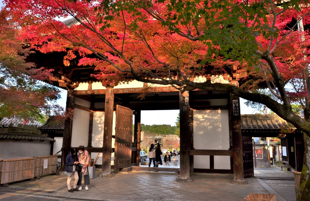 石山寺秋ぶらり　3　東大門紅葉