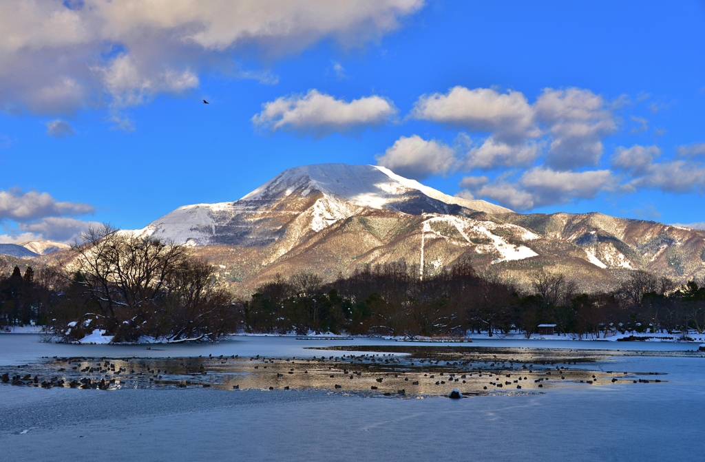 伊吹山冬景色 By 近江源氏 Id 写真共有サイト Photohito